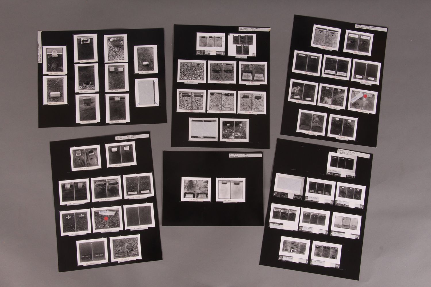 Sophie CALLE. "Les tombes. 1990. Gallery plates" Seven A4 photographic plates fr&hellip;