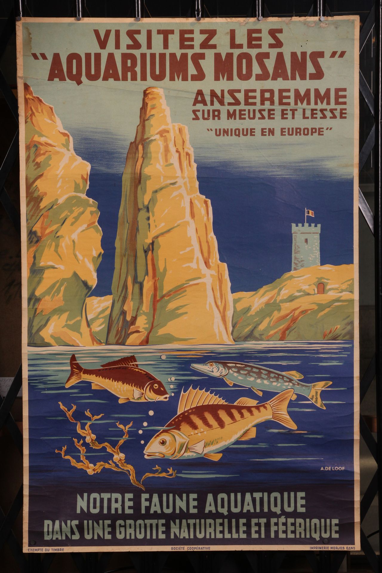 [AFFICHE]. A. DE LOOF. "Visita agli acquari Mosan" Gand, imp. Morjos, s.D. [1938&hellip;