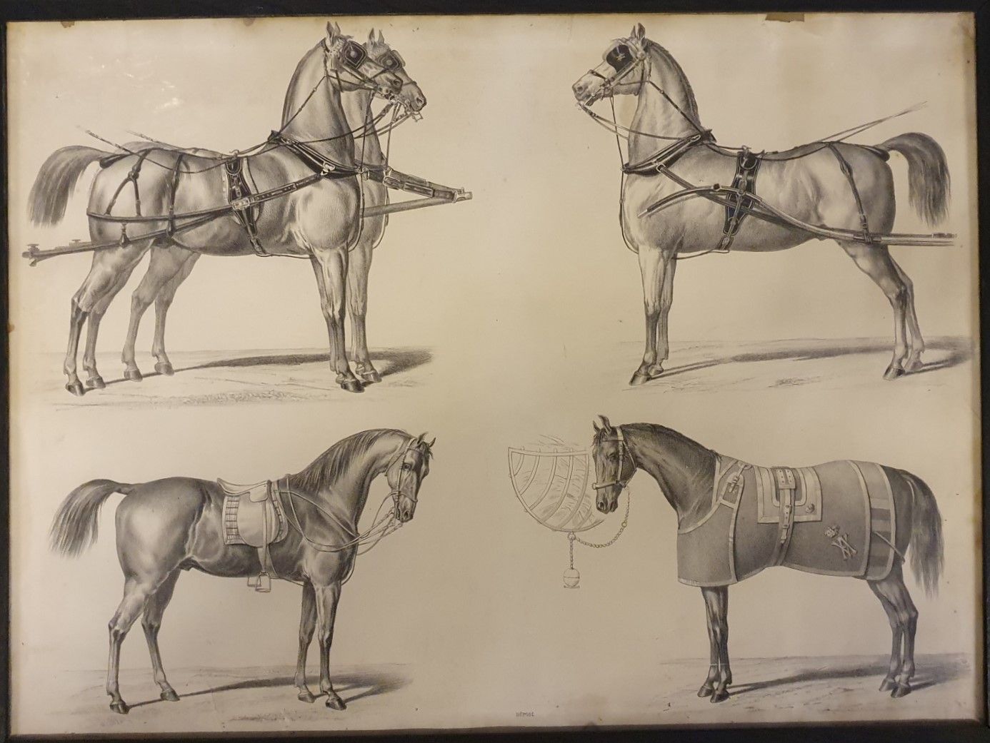 Ensemble de quatre gravures encadrées sur le thème du cheval. (Acc.) 一套四幅以马为主题的有&hellip;