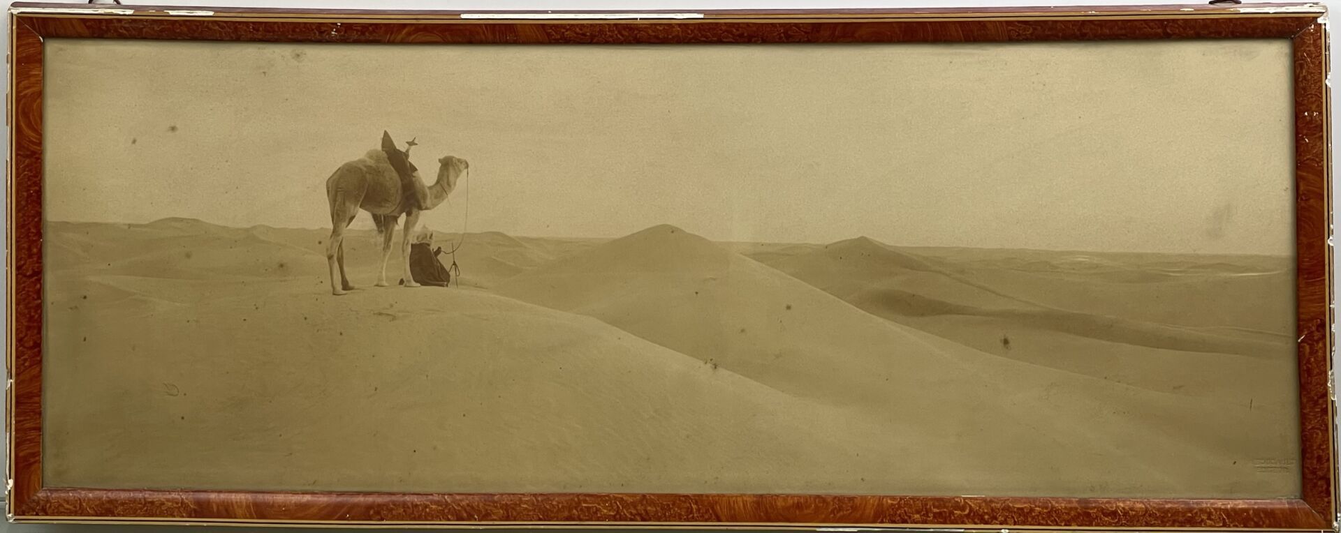 Null BOUGAULT Alexandre (1851-1911)。 
沙漠中的骆驼司机照片
复古银质印刷品，装在纸板上，有框架。 
右下图有A. Boug&hellip;