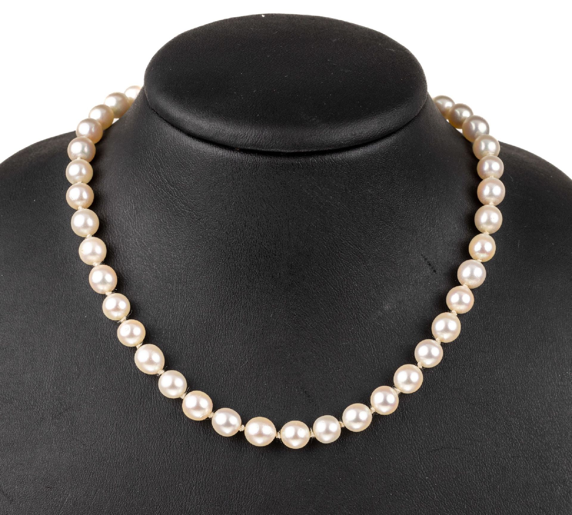 Null Collier de perles de culture d'Akoya avec fermoir en or 14 carats, WG 585/0&hellip;