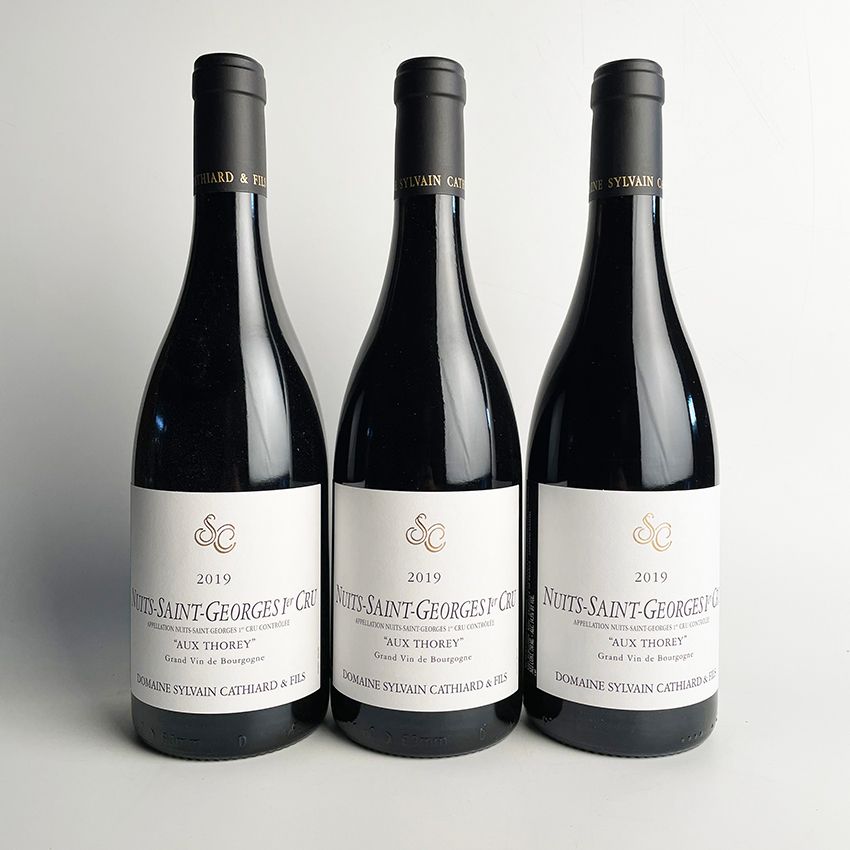 Null 3 bottiglie 2019 Nuits-Saint-Georges 'Aux Thorey' 1er Cru, Domaine Sylvain &hellip;