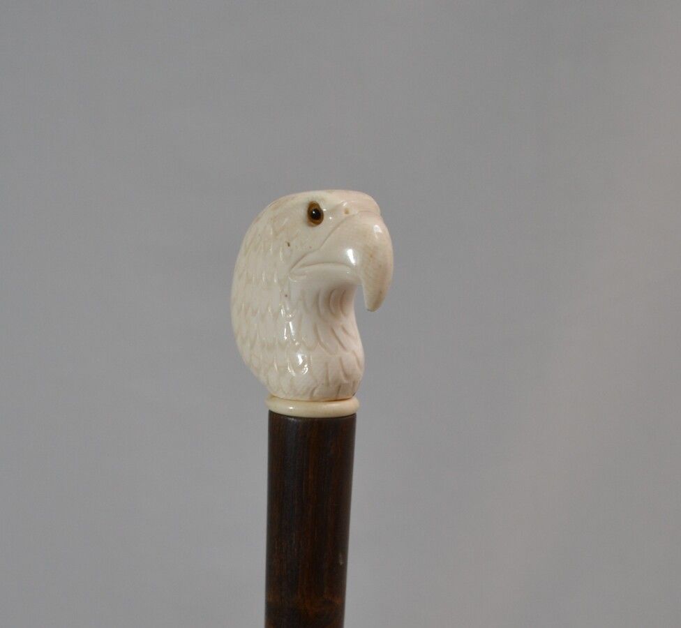 Null 木制手杖，鞍座为象牙雕刻的鹰头，眼睛为玻璃材质

20世纪初

长：96厘米 毛重：420克（鸟嘴上有轻微缺口

CITES n°FR21044006&hellip;