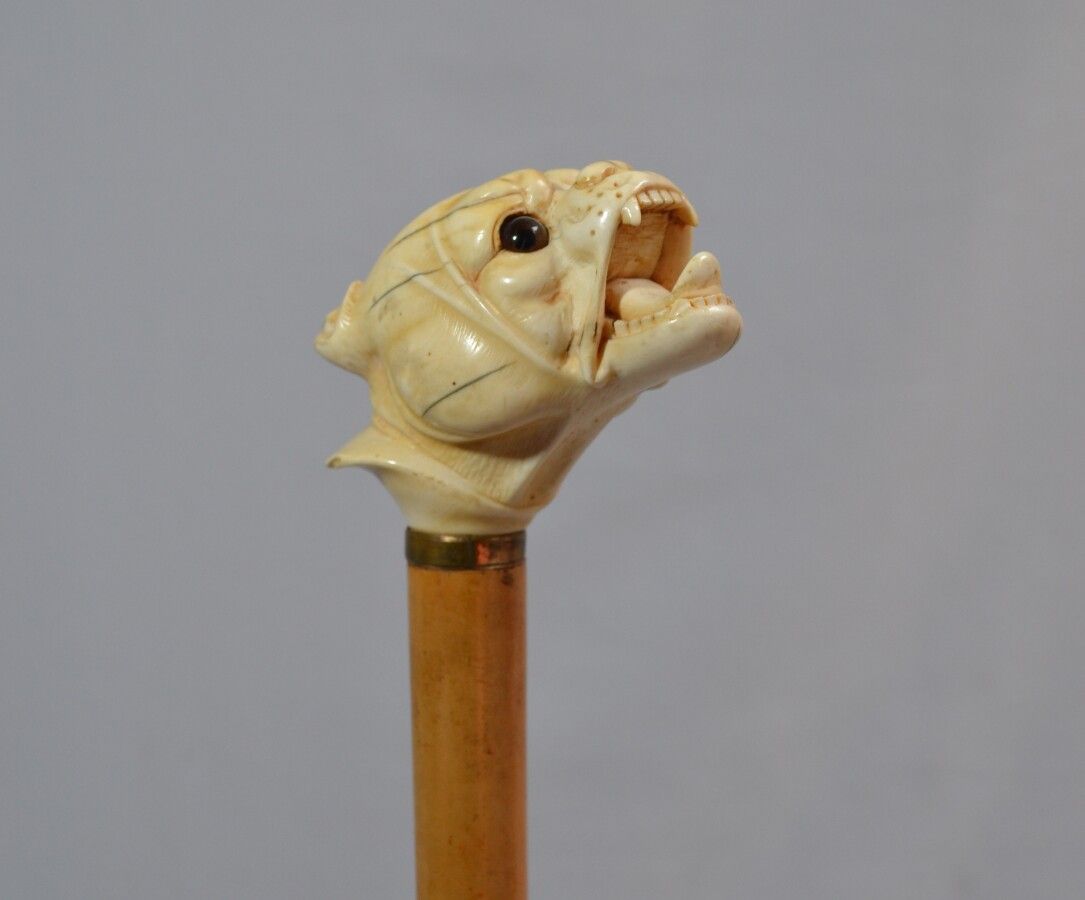 Null CANNE en bois, le pommeau en ivoire sculpté figurant une tête de bouledogue&hellip;