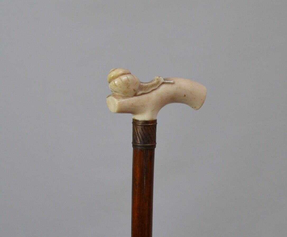 Null Wooden cane, the pommel in carved ivory representing a snail

Early 20th ce&hellip;