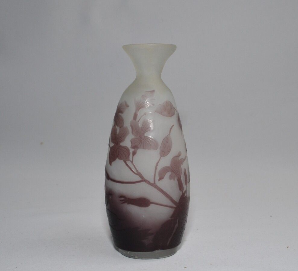 Null GALLE

Vase en verre multicouche à décor floral dégagé à l'acide, signé

H.&hellip;
