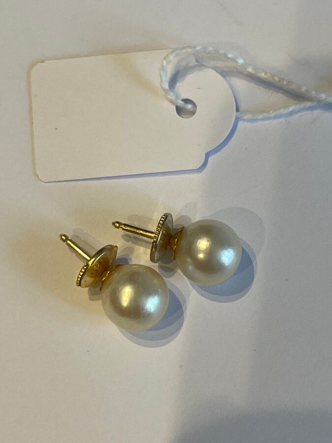 Null 耳环，白色养殖珍珠，黄金镶嵌，总重3.4克