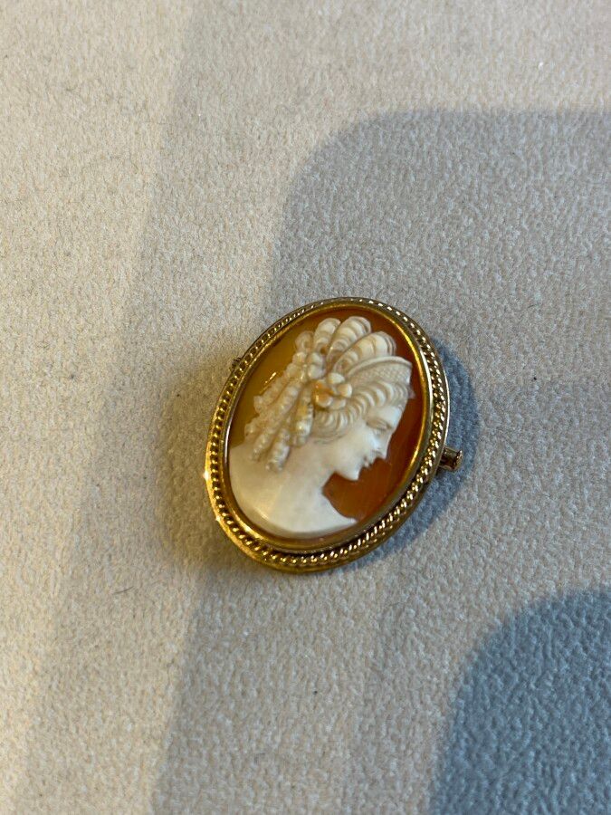 Null Oval pin set in gold and cameo, gross weight 11.6 g, height 3.5 cm