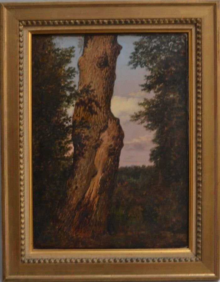 Null FRENCH SCHOOL of the XIXth century

Study of a tree

Oil on canvas

40.5 x &hellip;