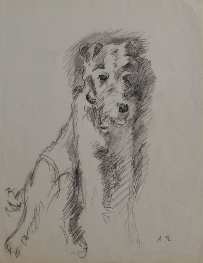 Null 安德烈-弗莱(1888-1963)

坐着的狗

图画的右下角有字

32.5 x 25.5厘米