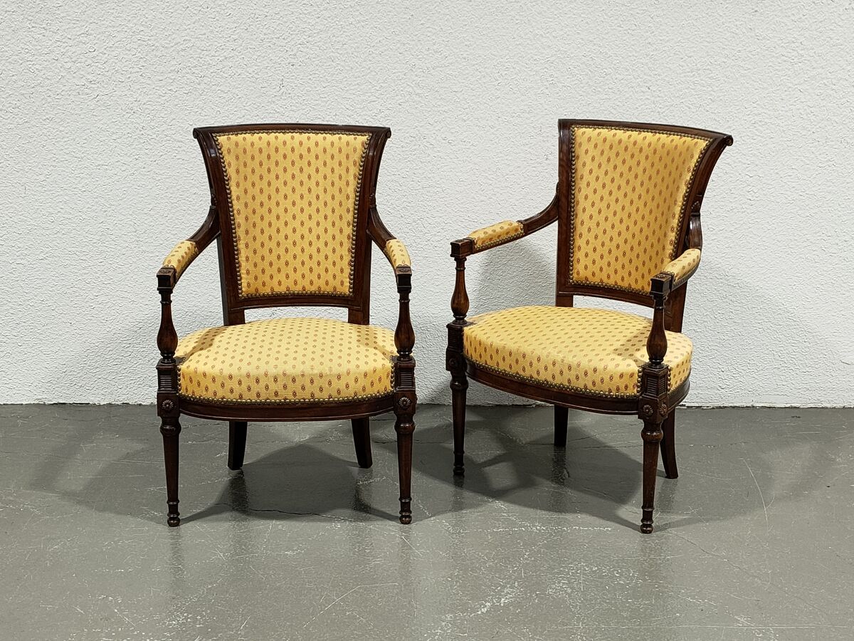 Null Pair of cabriolet armchairs in natural wood

Directoire style