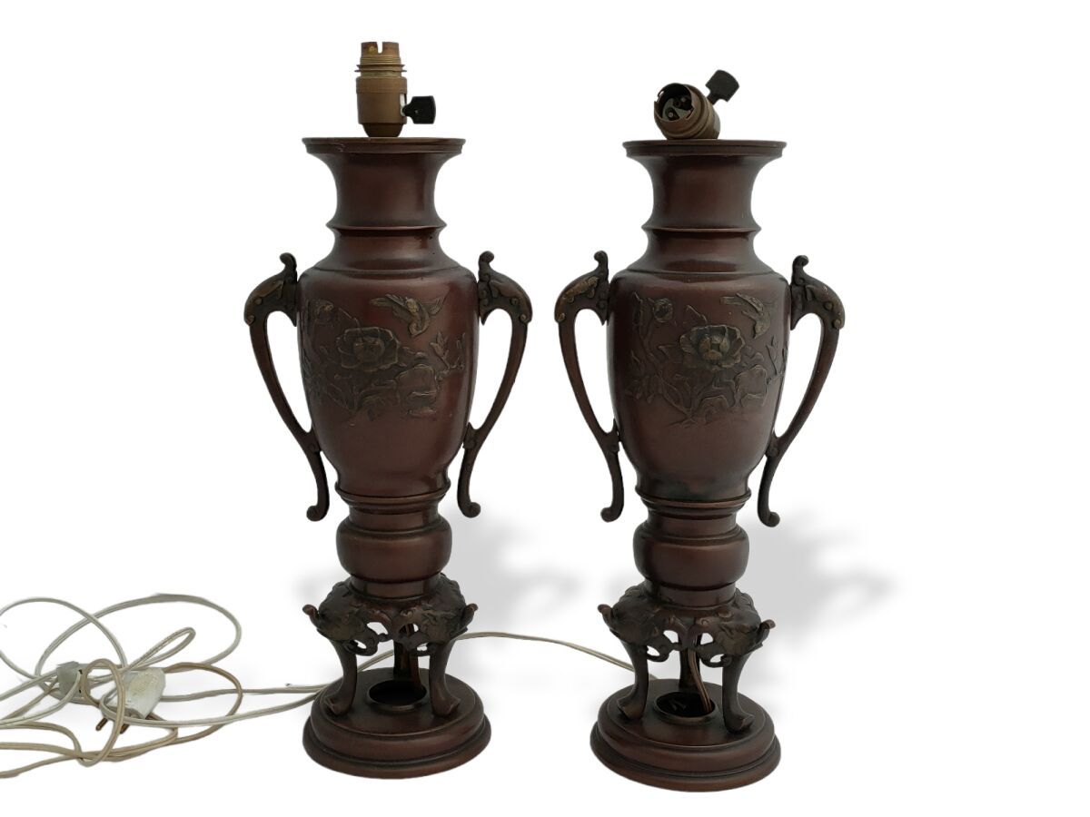 Null INDOCHINA

Coppia di vasi in bronzo patinato

H.: 41 cm (montati come lampa&hellip;