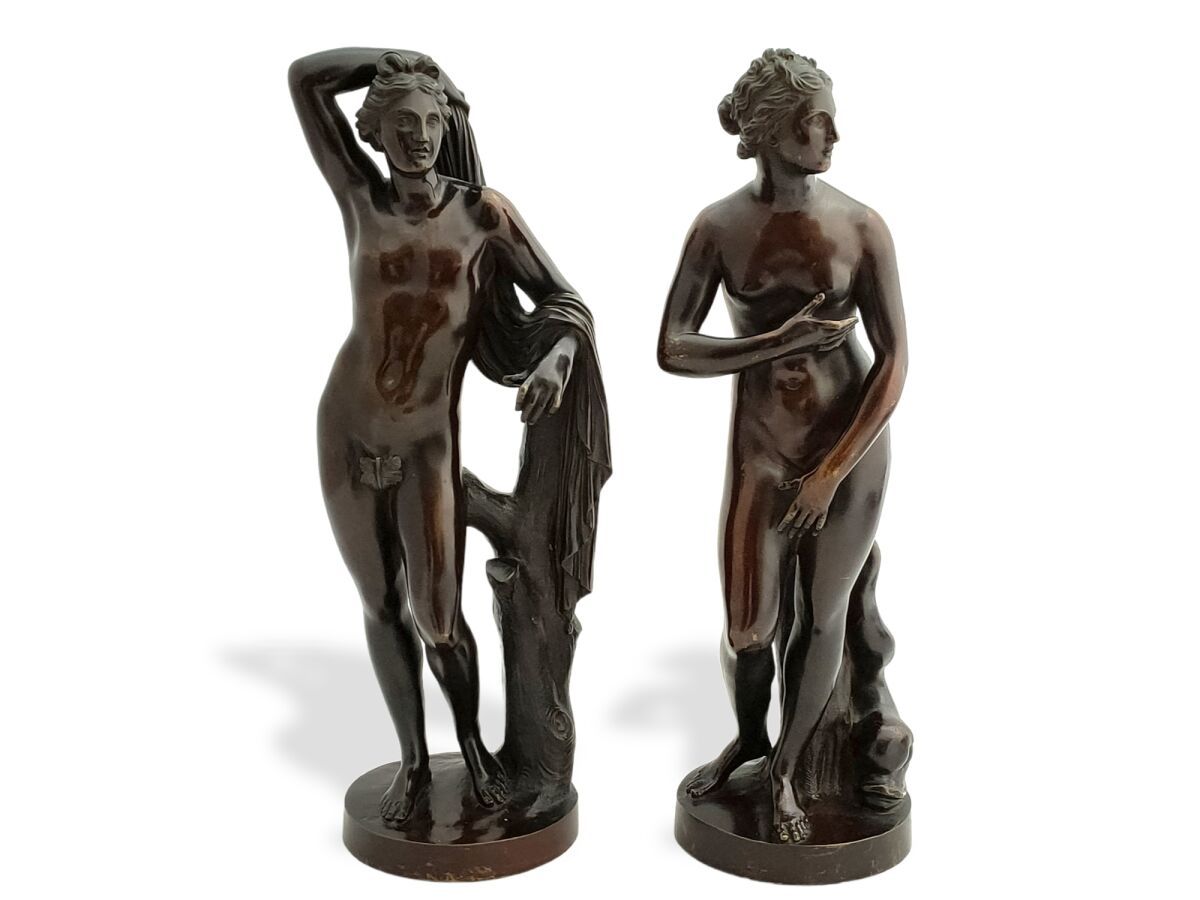 Null 18世纪末的意大利学校
美第奇维纳斯和阿波利诺
一对铜器，有棕色的铜锈和红色的阴影
高：38和37.5厘米
阿波利诺的古董雕像，也叫阿波罗-美第奇，1&hellip;