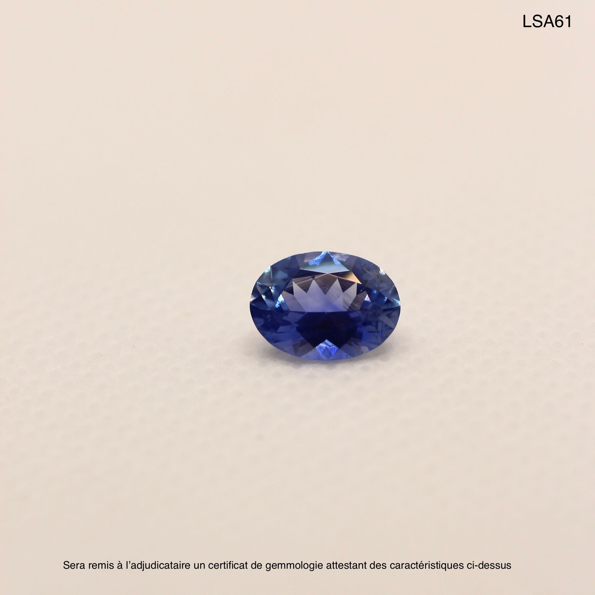 SAPHIRS TAILLÉS 拍品编号：LSA61

原产地: 马达加斯加

治疗: Ø

颜色：蓝色

形状: 椭圆形

尺寸：8.9mm x 6.8mm &hellip;
