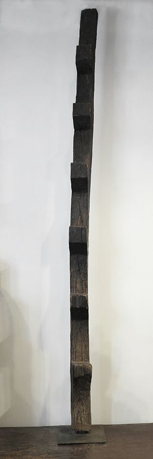 Echelle Madagascar 木制梯子。

马达加斯加

10x13x253厘米