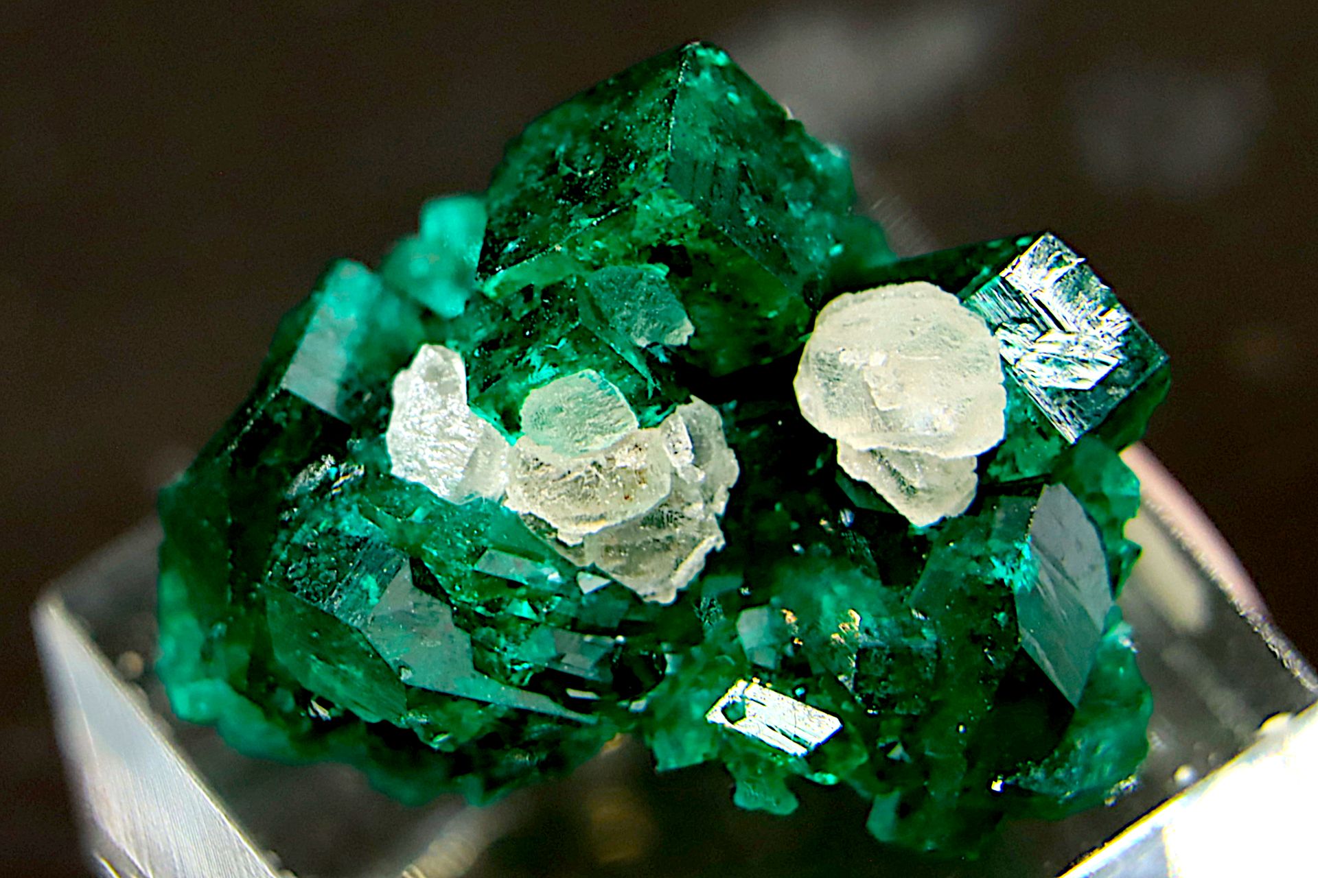 Tres belle calcite sur dioptase Beautiful combination of calcite and dioptase - &hellip;