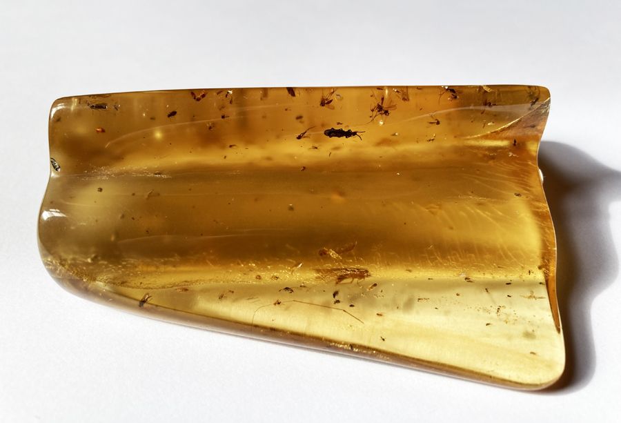 AMBRE Superbe et important ambre jeune avec inclusions d’insectes : mouches, mou&hellip;