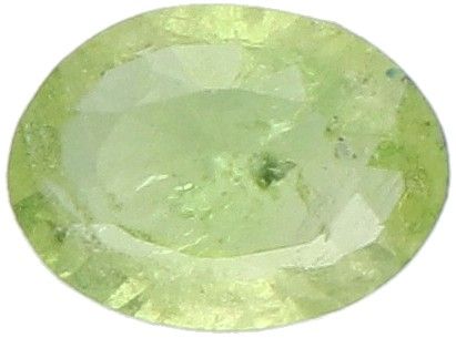 IDT Certified Natural Tsavorite Garnet Gemstone 0.48 ct. 切割。椭圆形混合，颜色：绿色，重量：0.48克&hellip;