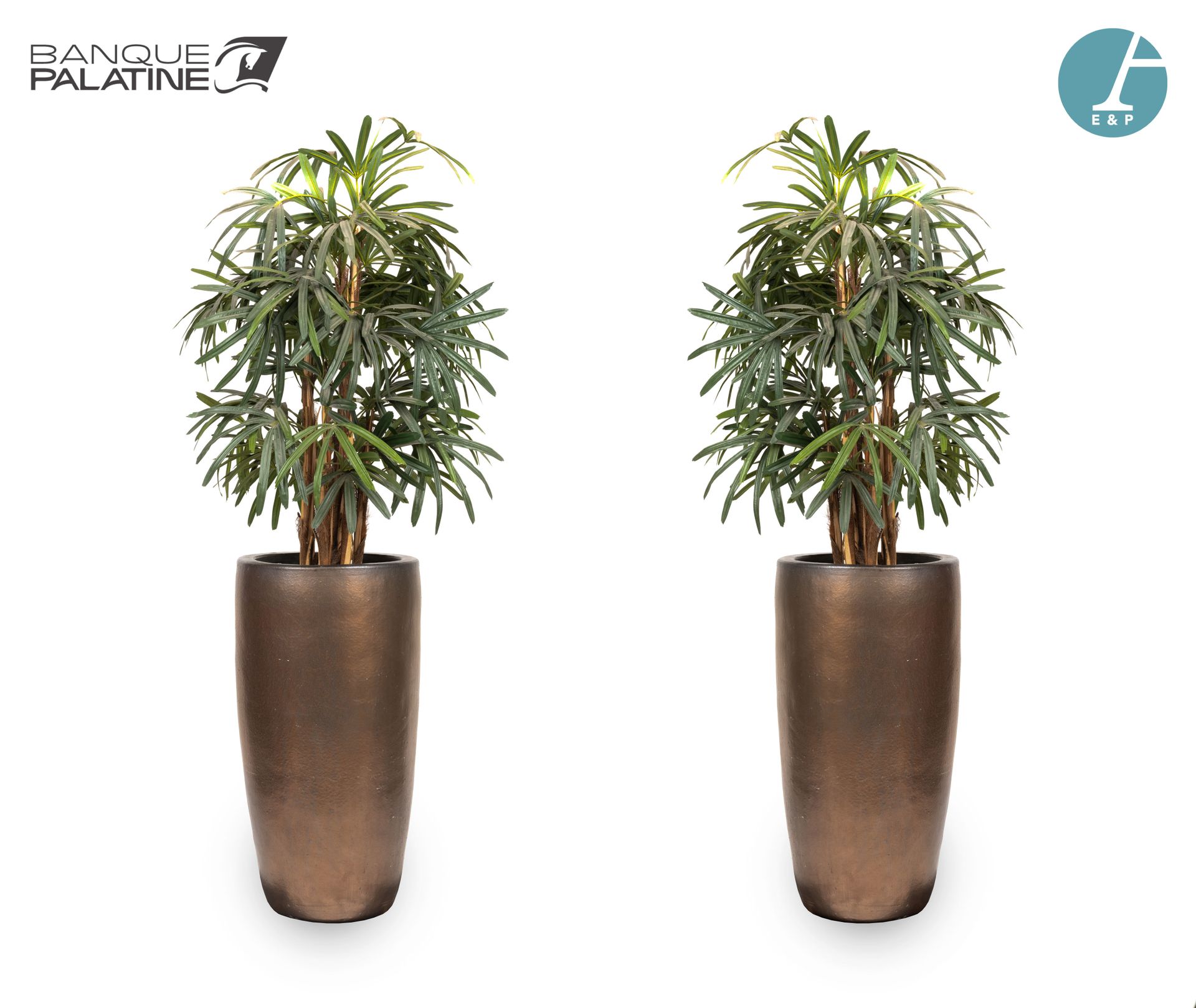 Null Set aus zwei großen künstlichen Pflanzen in ihrem kupferfarbenen Keramiktop&hellip;