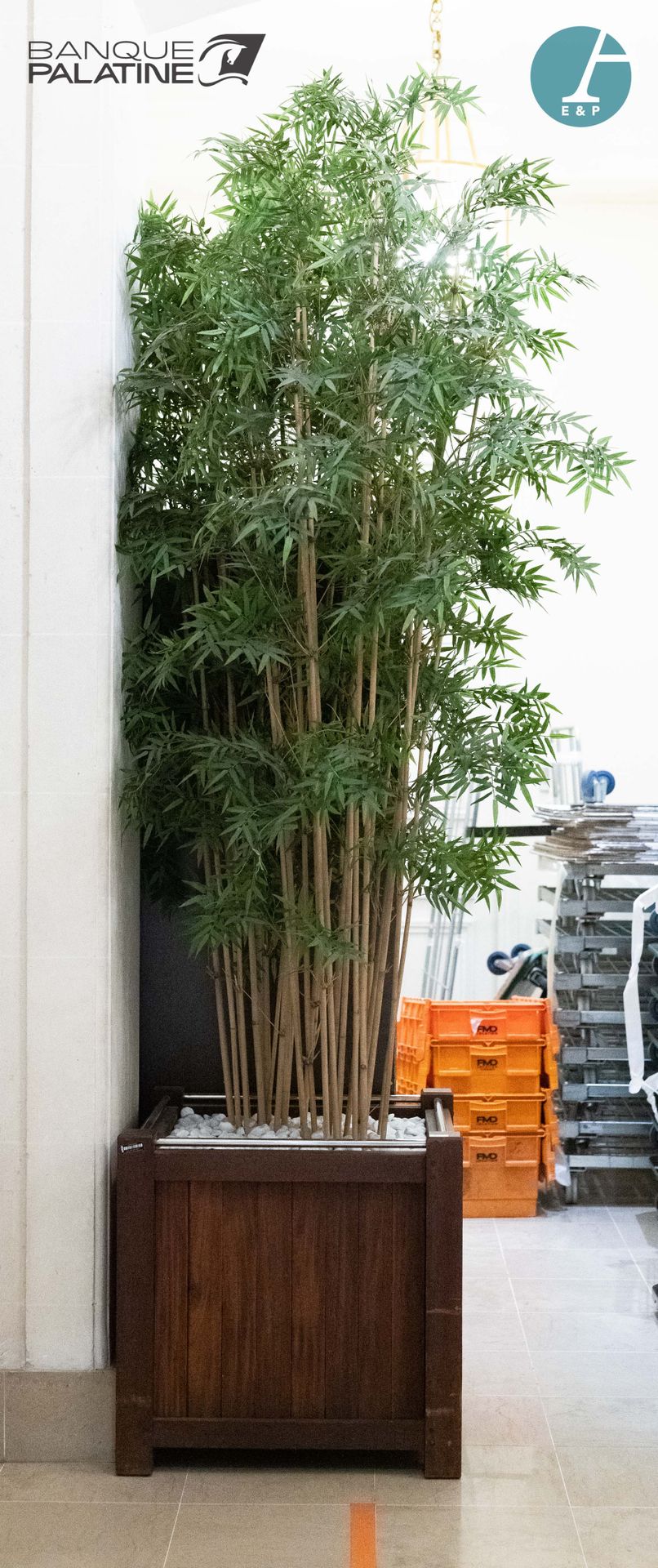Null Une grande plante artificielle (type bambous) dans sa caisse en bois nature&hellip;