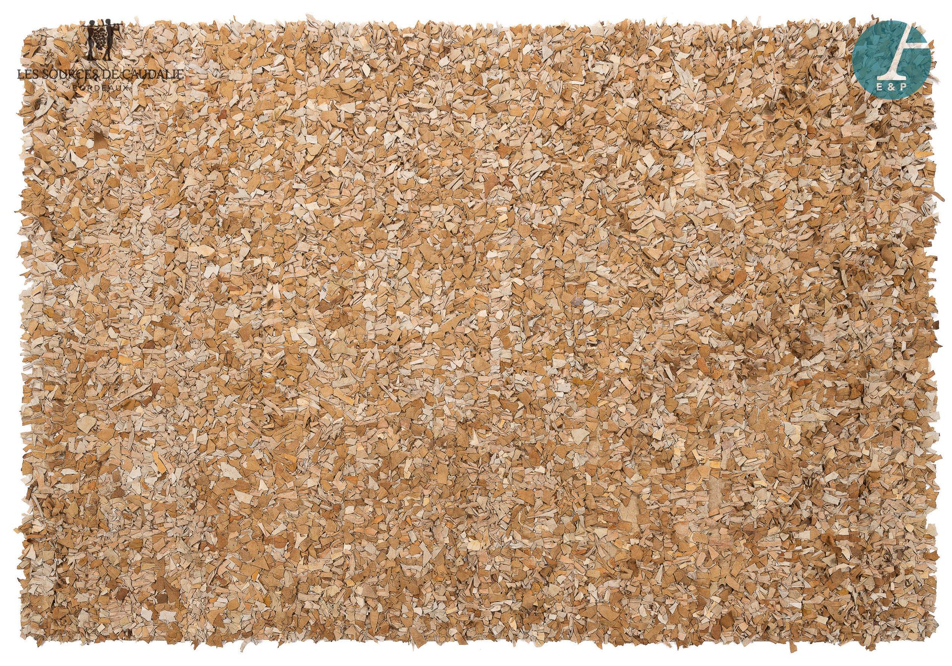 Null 从4号房间 "Les Douelles "开始。

TOULEMONDE BOCHART，棕色皮条的毛茸茸的地毯。

204厘米 x 139厘米