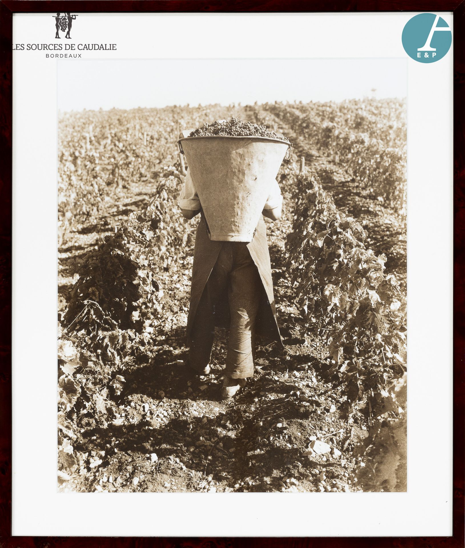 Null From room #7 "Le Vigneron

Lot of three photographic prints

1) "Harvest in&hellip;