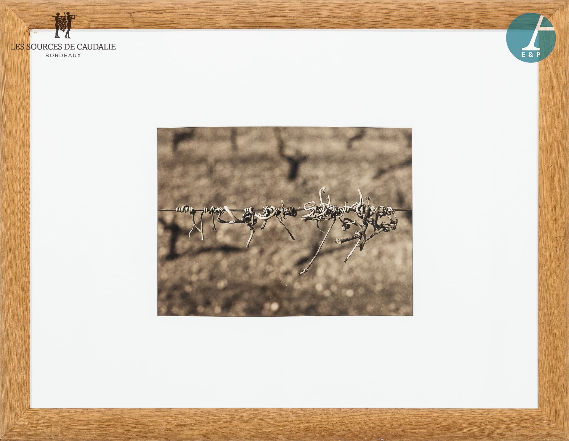 Null 从3号房 "Les Pampres "出发

两幅带框摄影作品，"葡萄树和葡萄"。

高：69厘米 - 宽：88厘米（带框架）