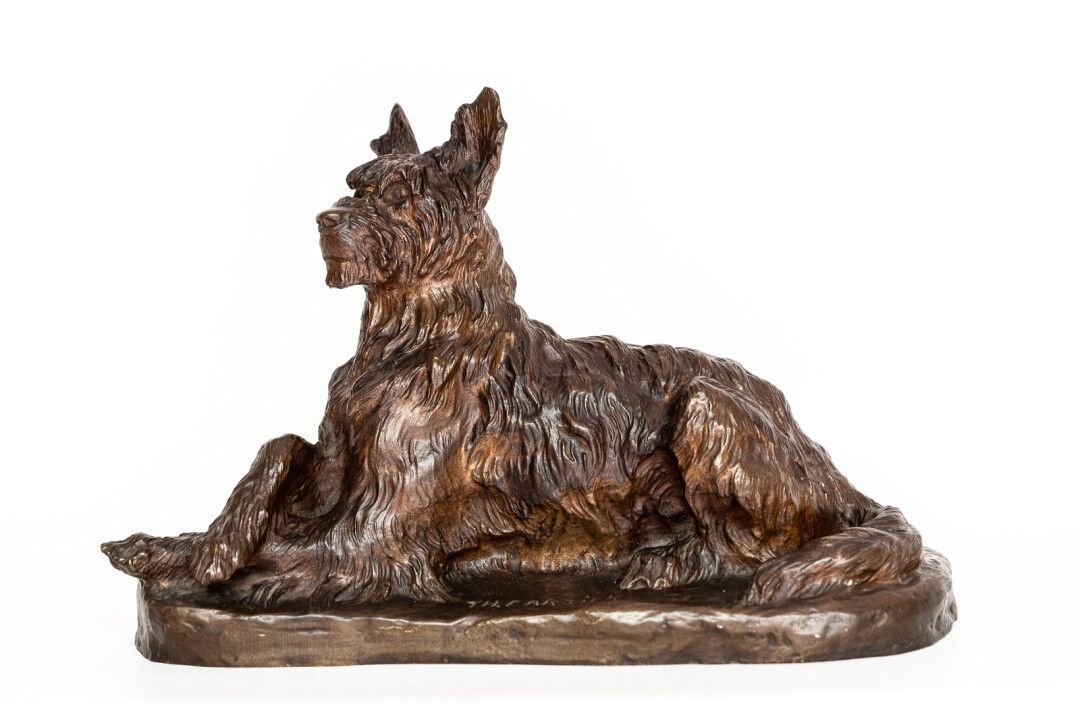 CHIEN Thomas François Cartier (1879-1943). Chien griffon en bronze à patine brun&hellip;