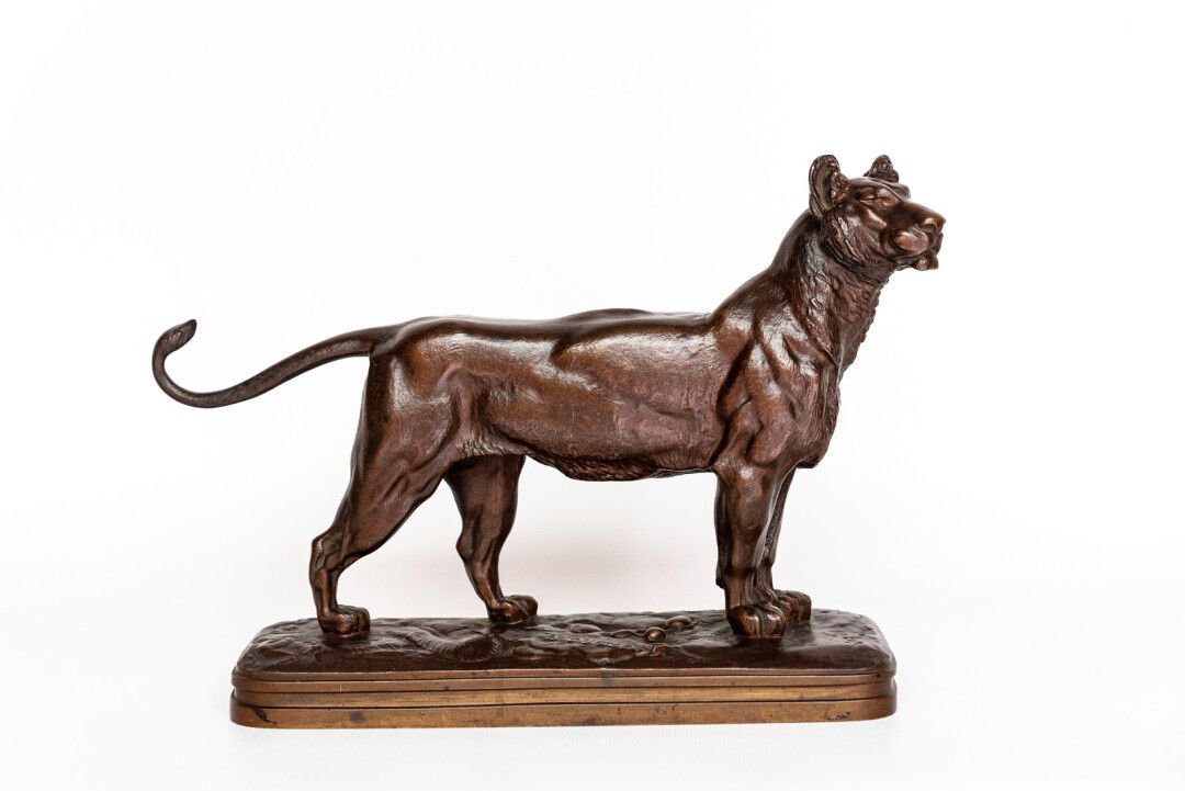 Lionne Alfred JACQUEMART (1824-1896). Lionne debout en bronze à patine brune, si&hellip;