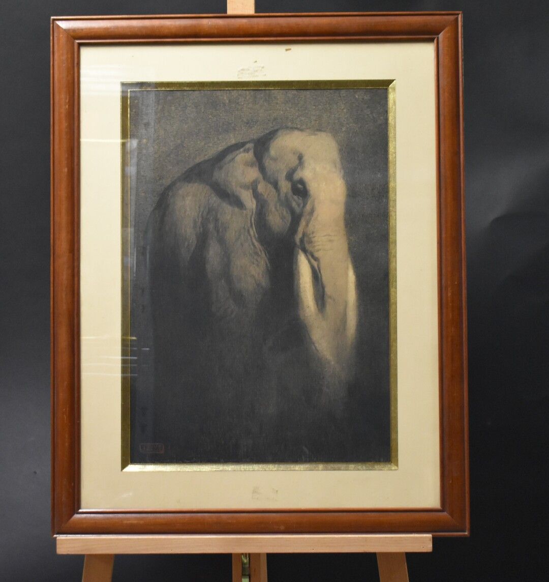 Null Paul JOUVE (1878-1973)

光明中的大象

炭笔画，左下角有签名

尺寸：58x40厘米



专家：Cabinet MARCIL&hellip;