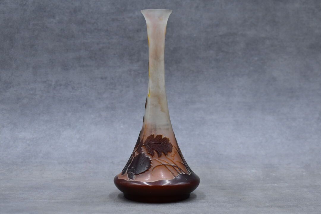 ÉTABLISSEMENT GALLÉ 建立GALLE。多层玻璃的长颈花瓶，有酸蚀的装饰。高度：21厘米