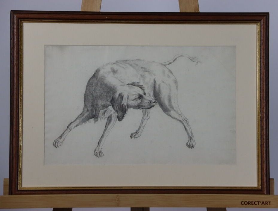 Null 签名是DEBOISSIEU还是JDB？ 石墨代表一只狗在自己身上翻身。尺寸：50 x 35厘米。