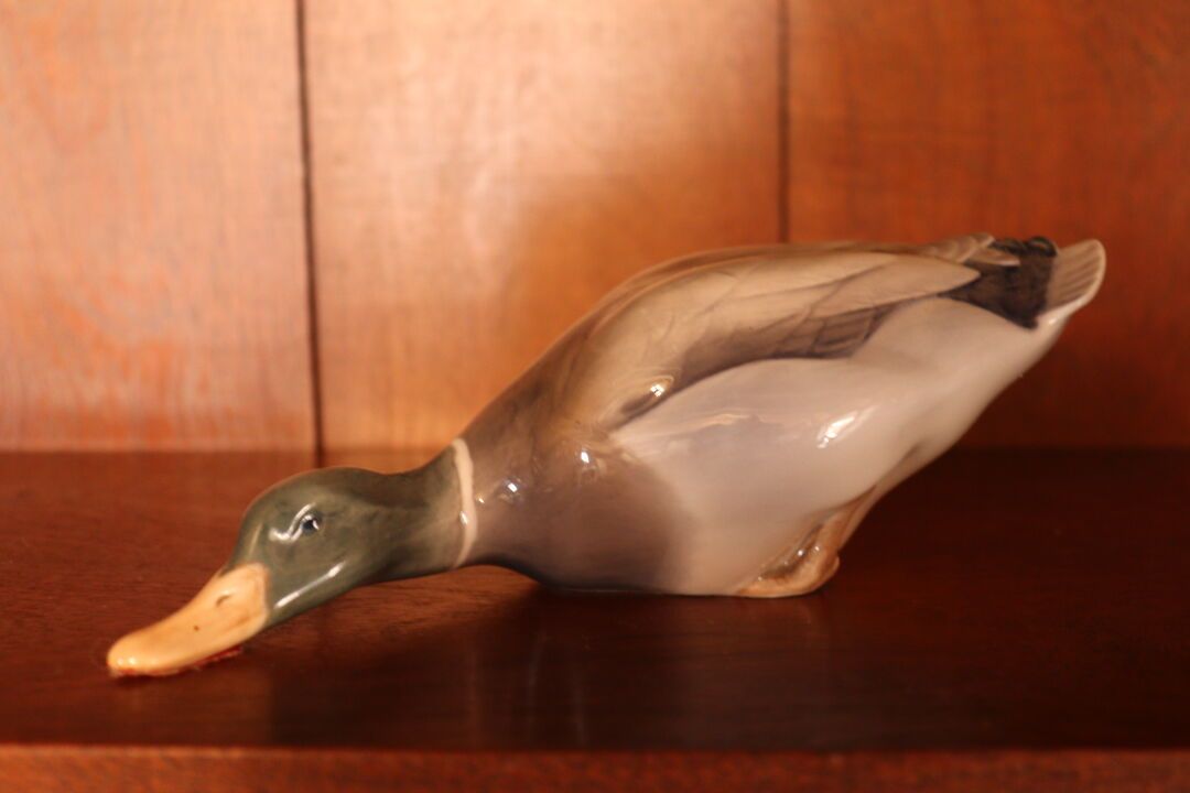 Null ROYAL COPENHAGEN. Duck in polychrome porcelain, stamped on the bottom. Dime&hellip;