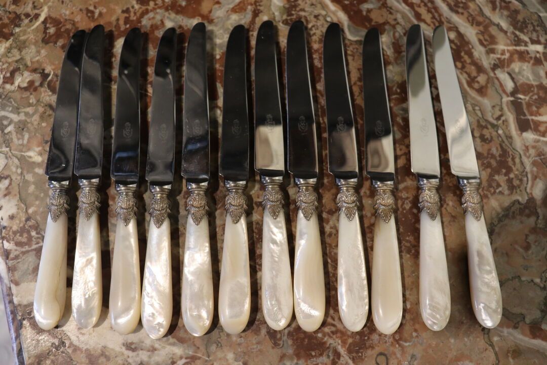 Douze couteaux de table à lame à bout rond et pognées en…