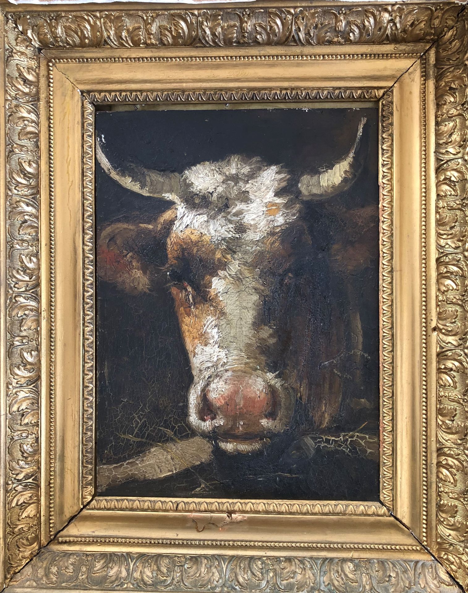 Null French school. 19th century.

Head of a cow, study.

Oil on panel.

32 x 23&hellip;