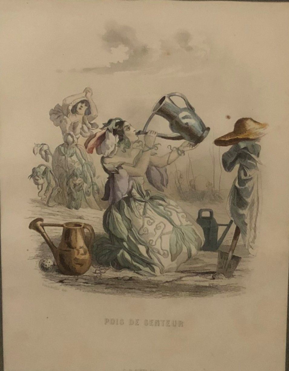 Null J.J GRANDVILLE ( 1803-1847) d'après, Les Fleurs animées.

Lot de 2 gravures&hellip;