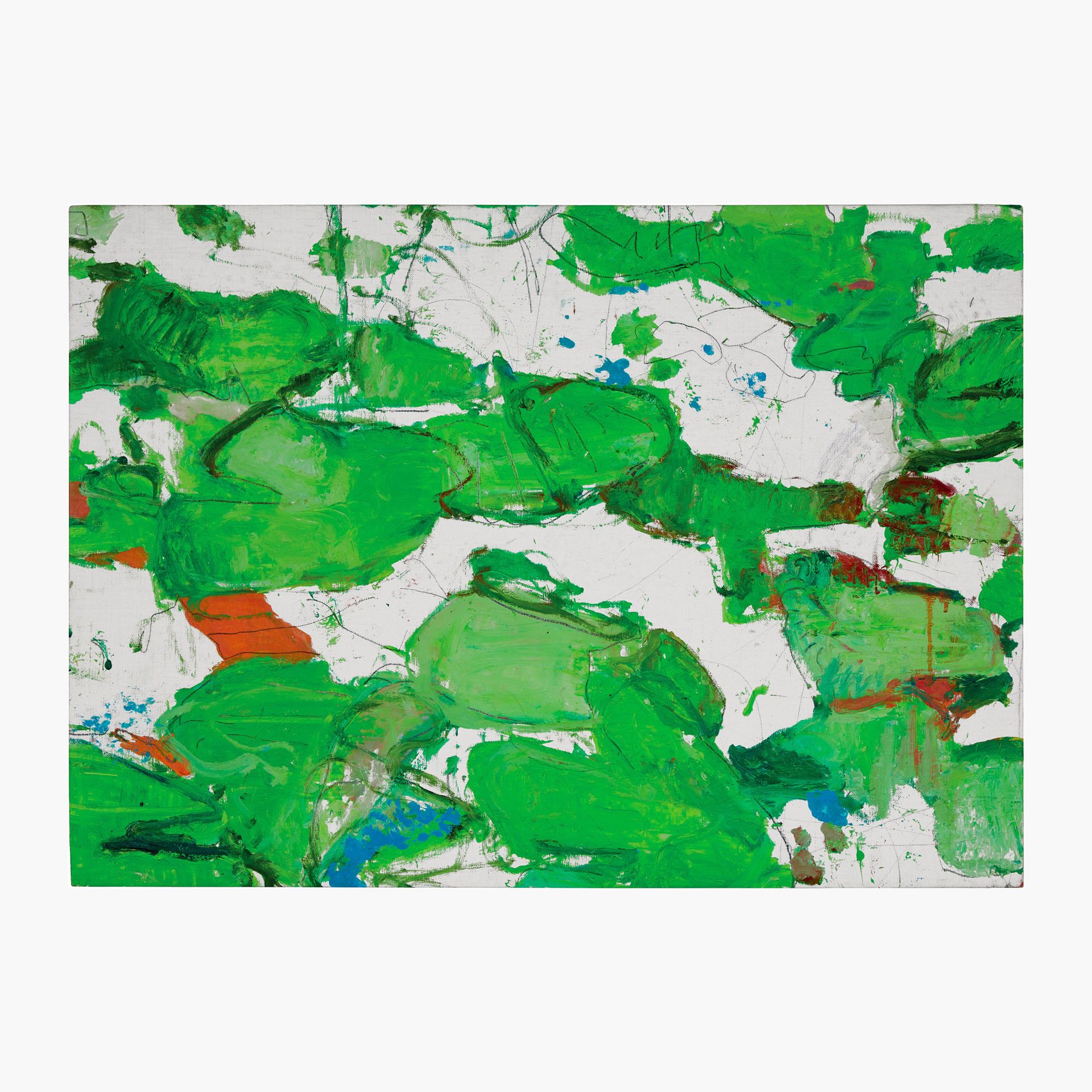 Giovanni Frangi 乔万尼-弗朗基，睡莲



2020

布面油画

高73 x 宽102.5厘米（高28.74 x 长40.35英寸）。



&hellip;