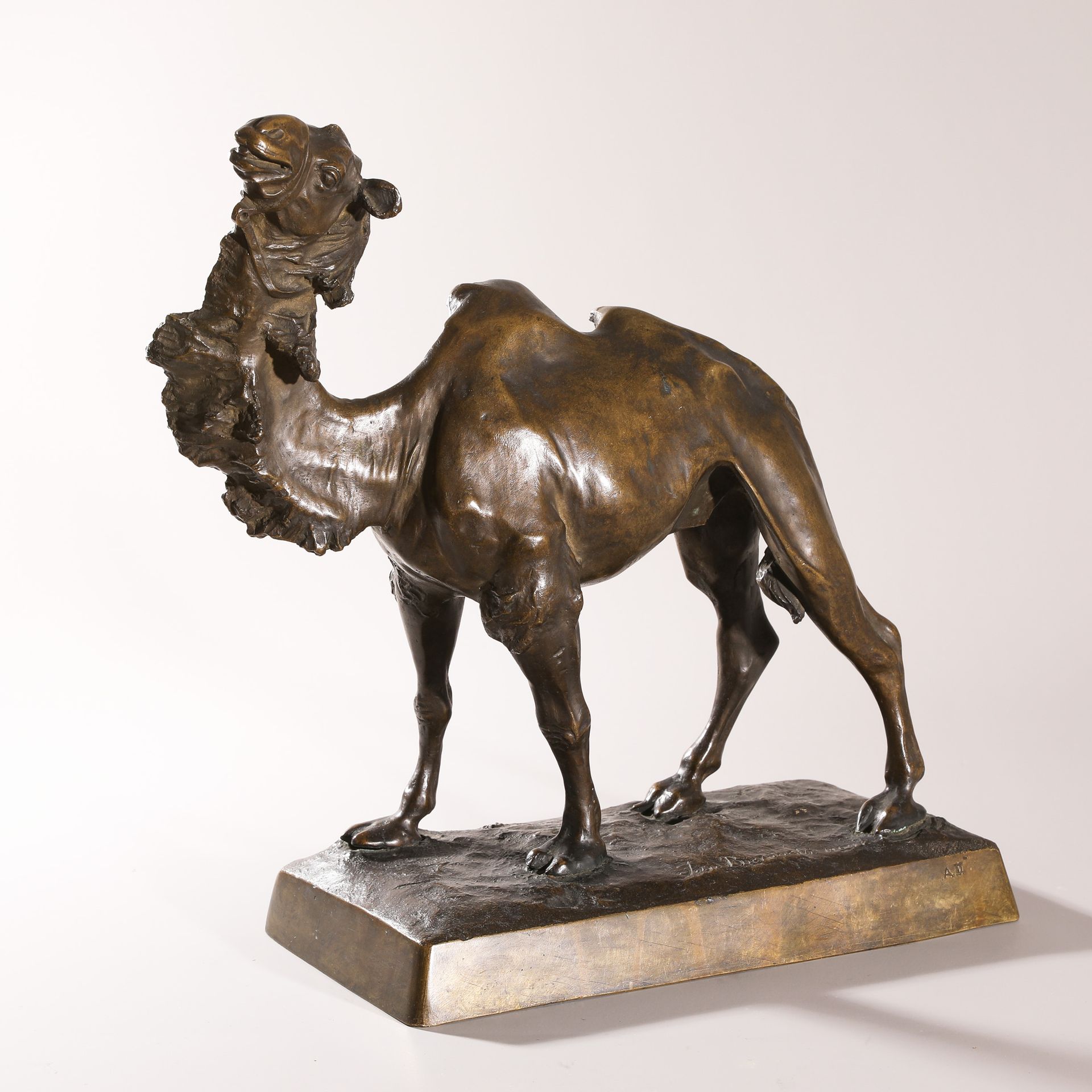 Jan Antoni Biernacki, bronze camel. 1909 (1879-1930) Jan Antoni Biernacki, Chame&hellip;