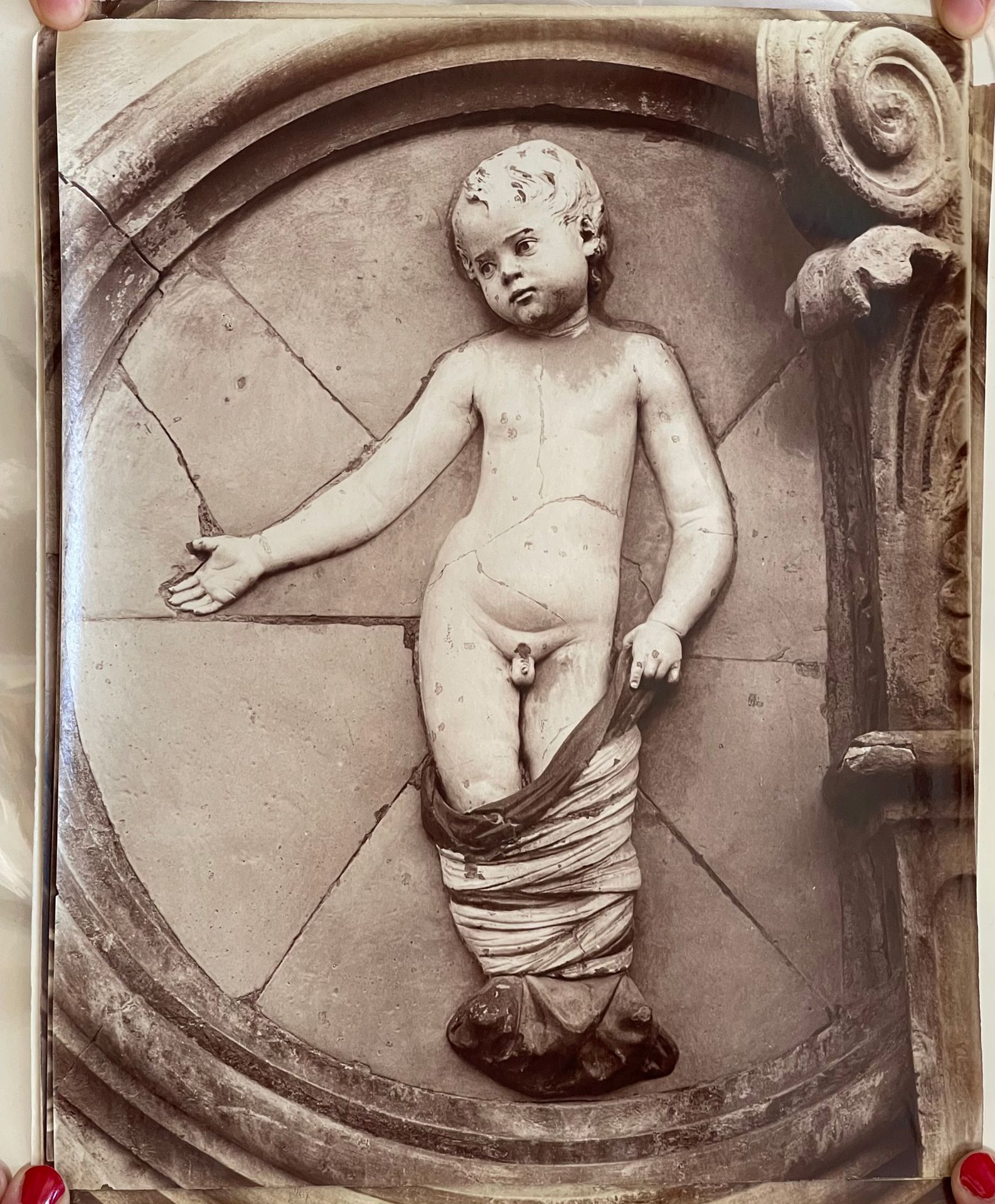 Adolphe Braun after Raffaello 六个普提，佛罗伦萨，约1868年 中等大小的碳版画，300x240毫米，均匀的颜色，独特的未装裱的彩&hellip;