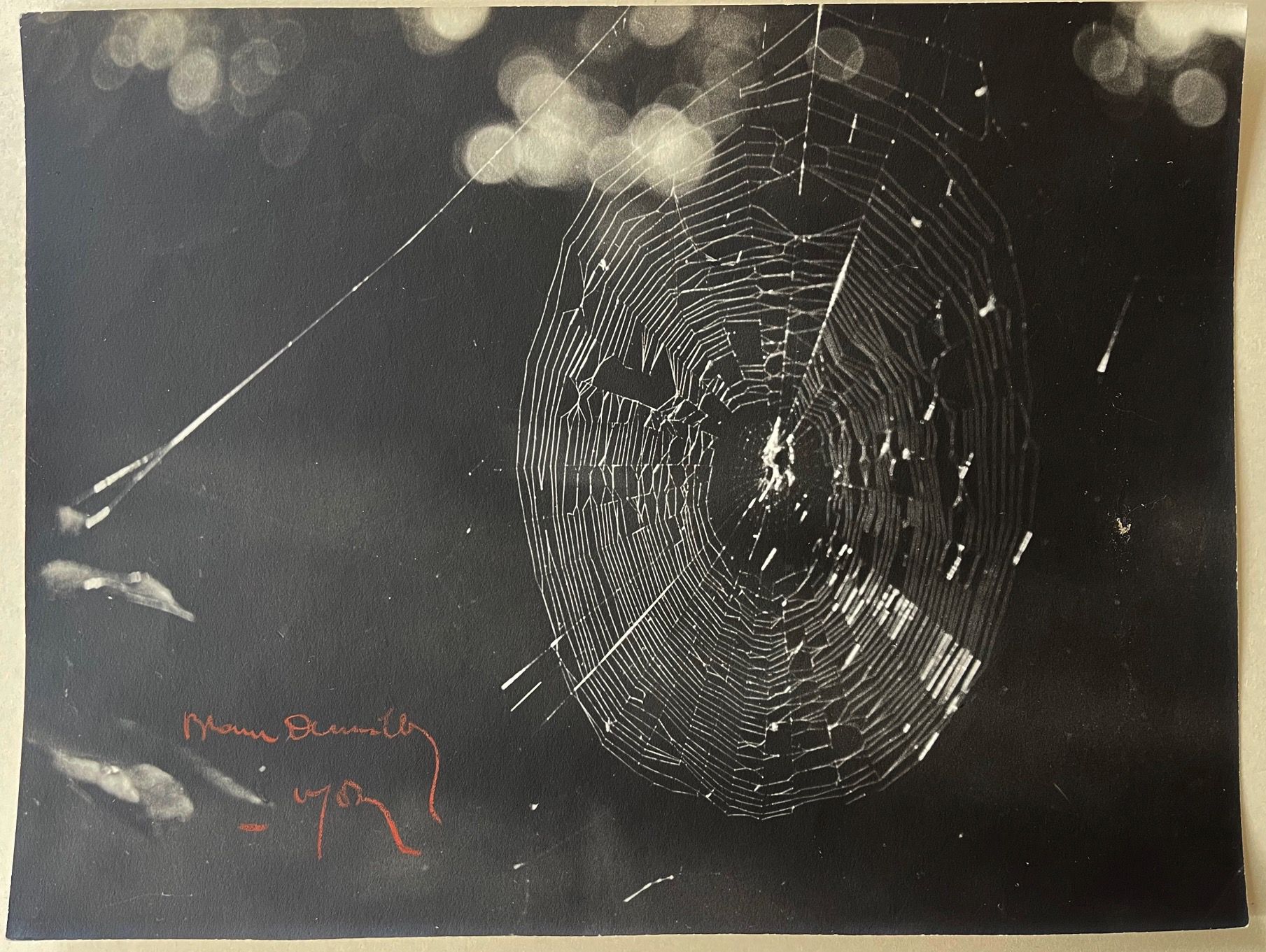Antoine Demilly (1892-1964) Studio Blanc et Demilly The spider web, Lyon, vers 1&hellip;