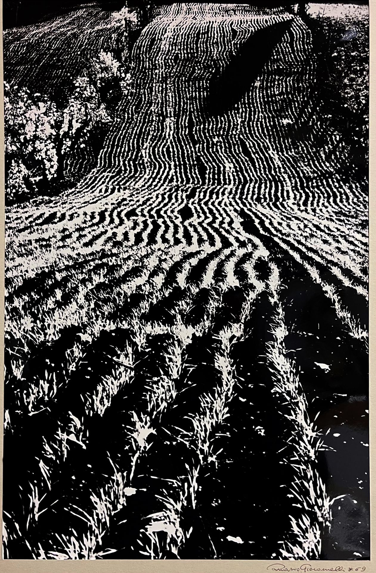 Mario Giacomelli Paesaggio (smaltata), 1968
Ferrotyped silver print, 390x259 mm,&hellip;