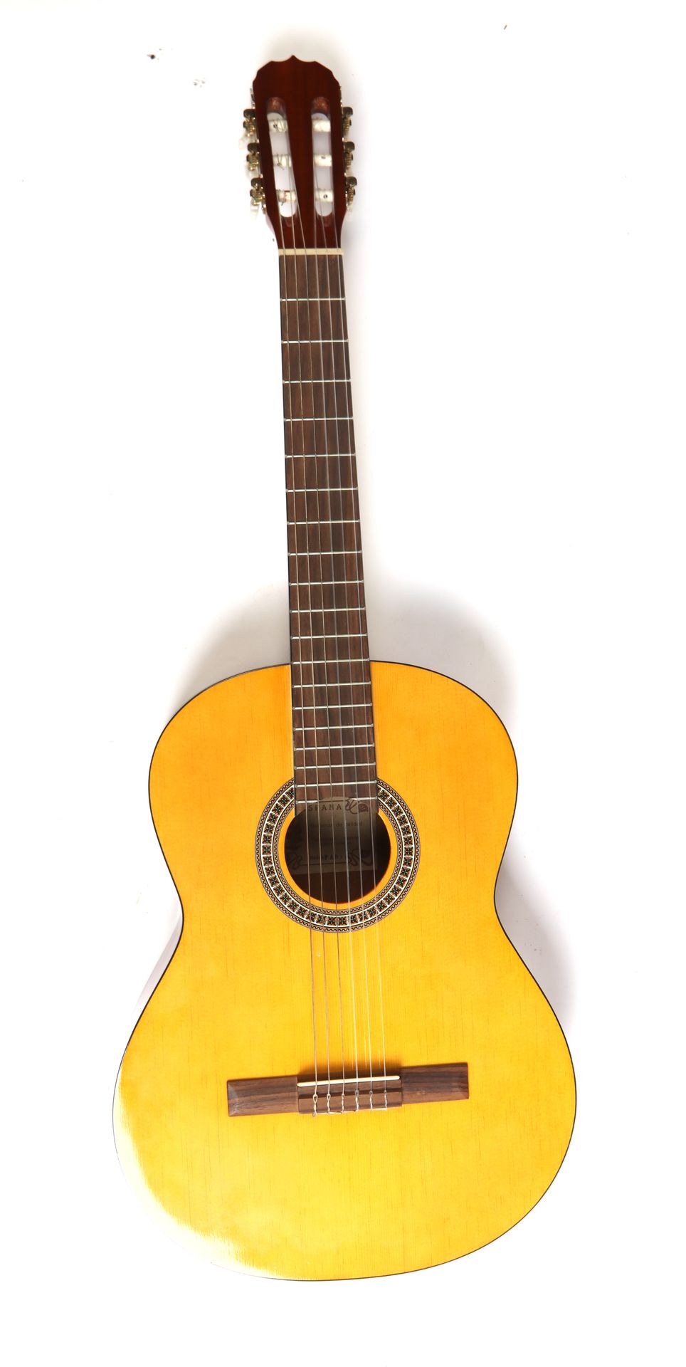 Null Classical guitar and case.