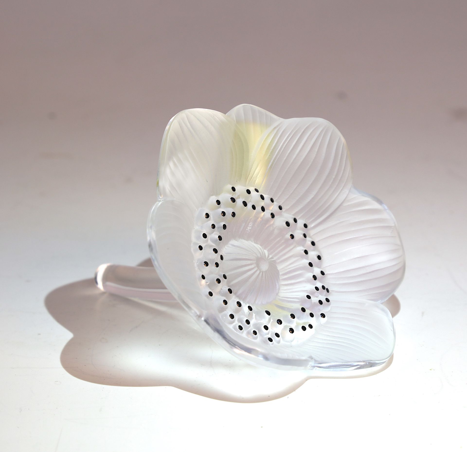 Null LALIQUE, flor de cristal soplado, 10X8