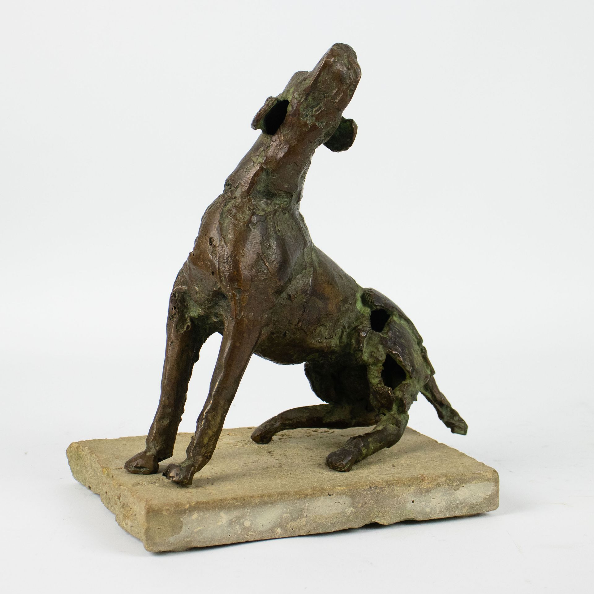 Jan DESMARETS (1961) Scultura in bronzo di un cane. Lavoro precoce, firmato. Bro&hellip;