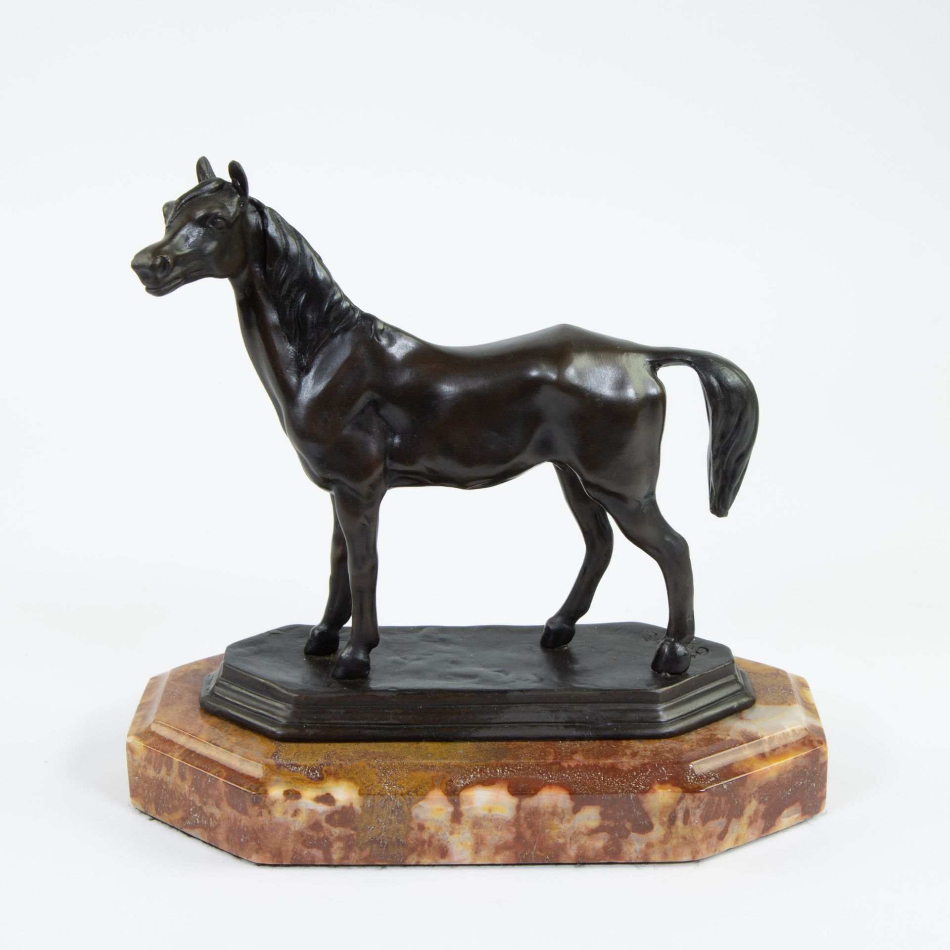Antoine Louis BARYE (1796-1875) 安托万-路易斯-巴里(1796-1875)
大理石底座上的棕色铜马，已签名。

大理石底座上的棕&hellip;