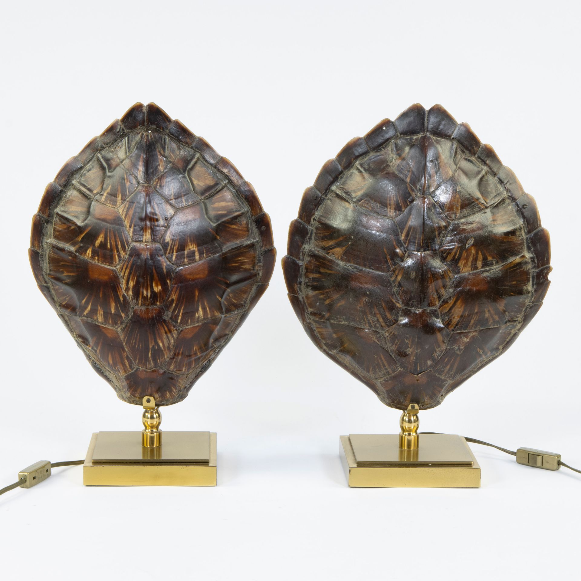 Null Paire de lampadaires en laiton doré avec écaille de tortue
Koppel lampadair&hellip;