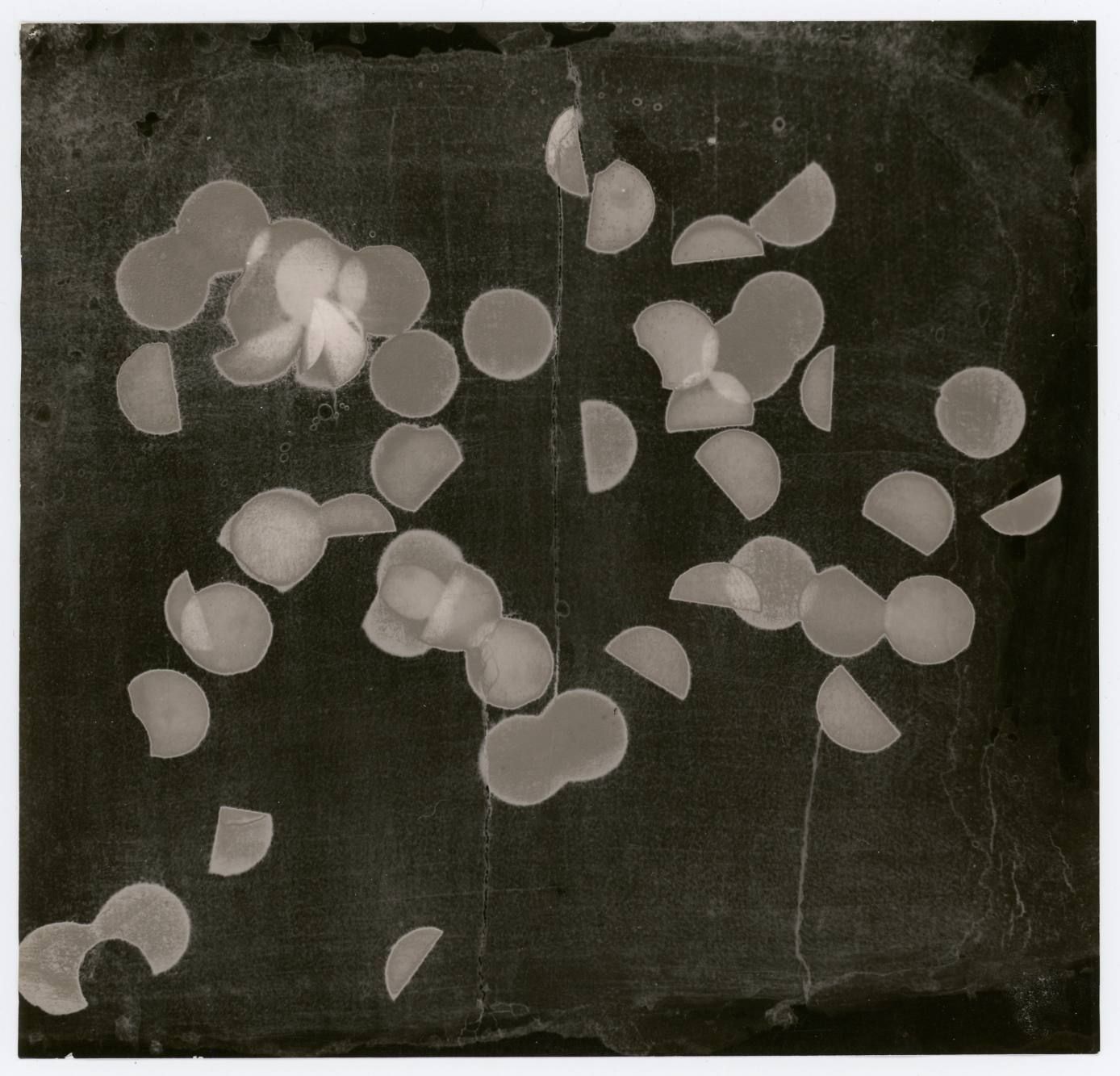Bela Kolarova (1923-2010) 办公室纸屑

1961

复古明胶银版画--由人造底片制成的正片，17.5x18.4厘米。艺术家的名字，标题&hellip;
