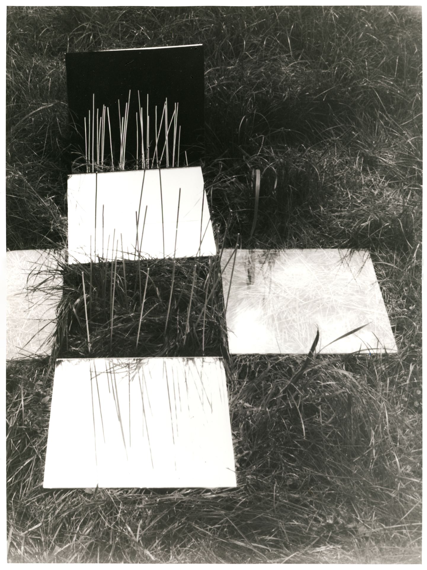 Alexandr Skalicky (1932) 草地上的倒影 III.

1983 / 2012

半哑光纸上的明胶银印刷品，由艺术家于2012年印刷。38x&hellip;