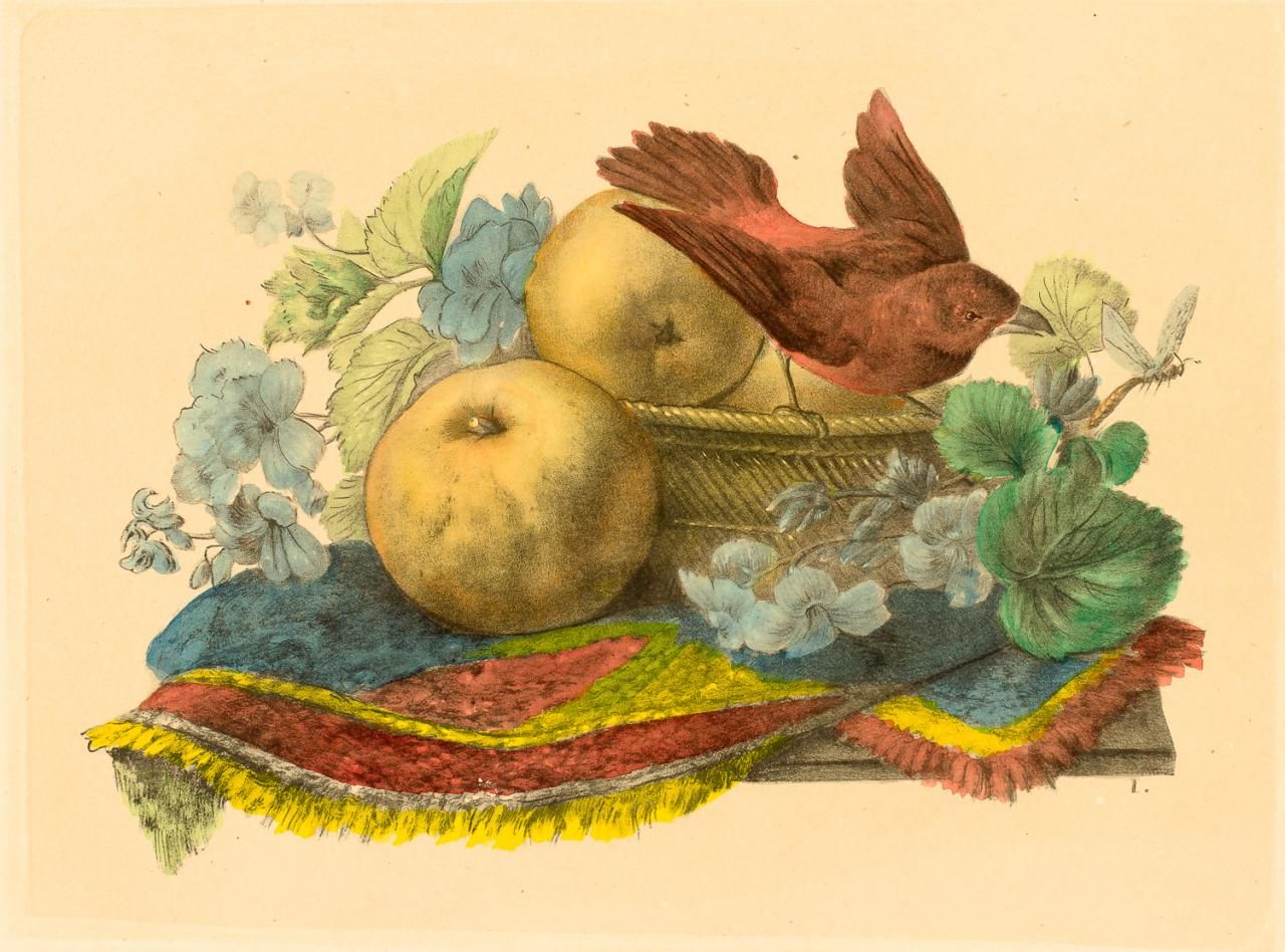 ESCUELA ESPAÑOLA, S. XX Paire de gravures avec des fruits et des oiseaux
Gravure&hellip;