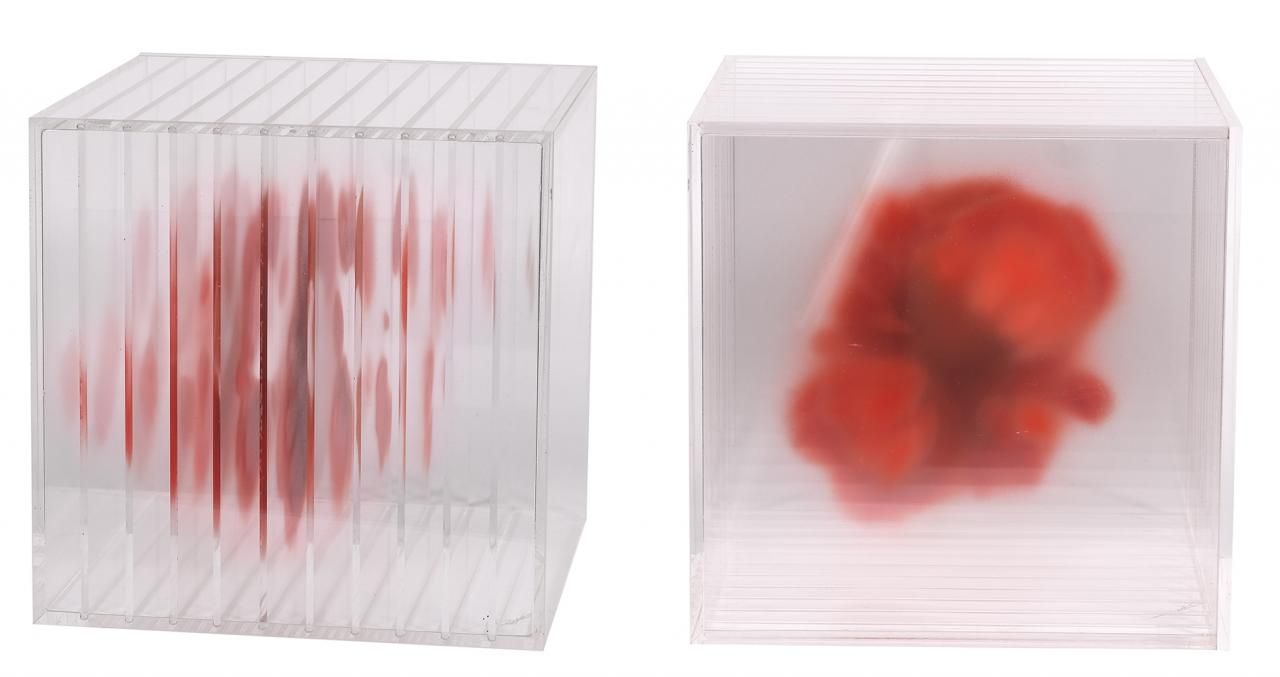 ISABEL ALONSO VEGA ( Madrid, 1968 ) 红色
油墨和甲基丙烯酸酯盒
20 x 20 x 20厘米
独特的作品，真实性证书